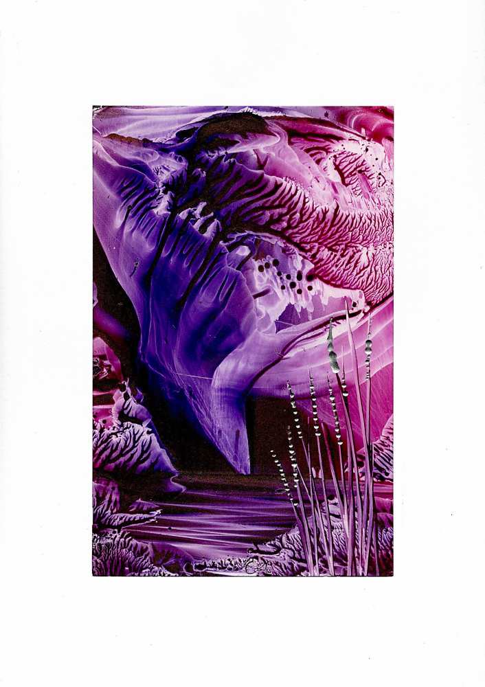 Product WG1239 image