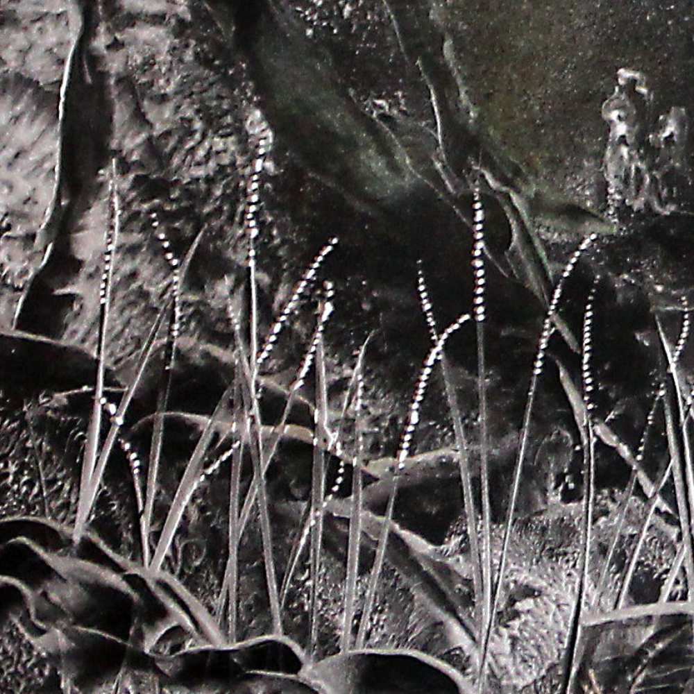 Product WP0001 image