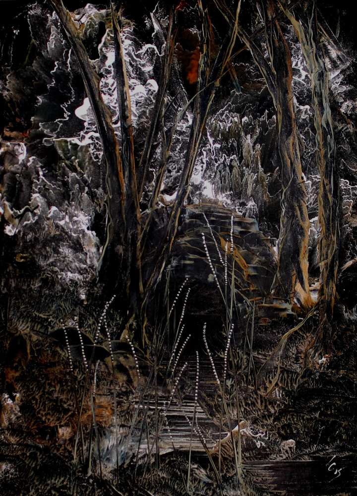 Product WP0004 image