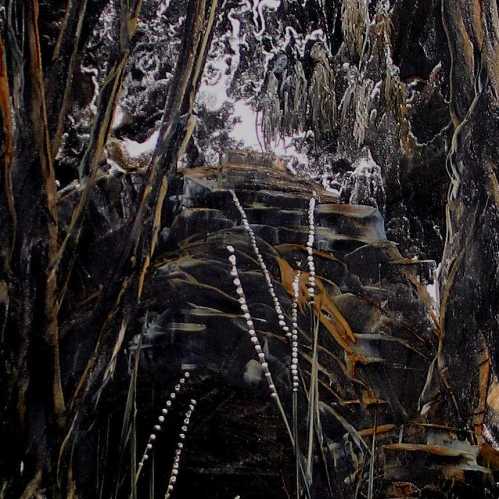 Product WP0004 image