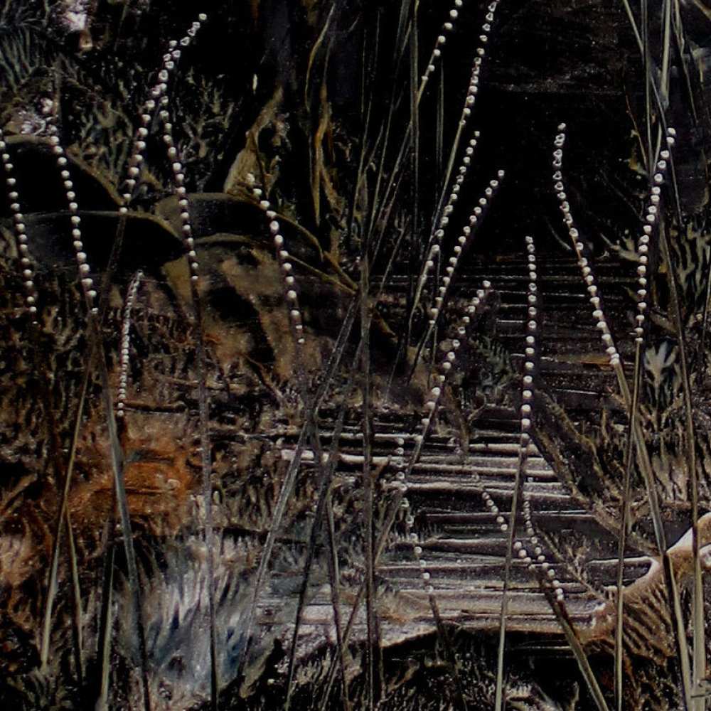 Product WP0004 image