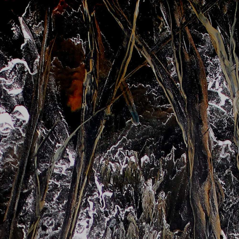 Product WP0004 image