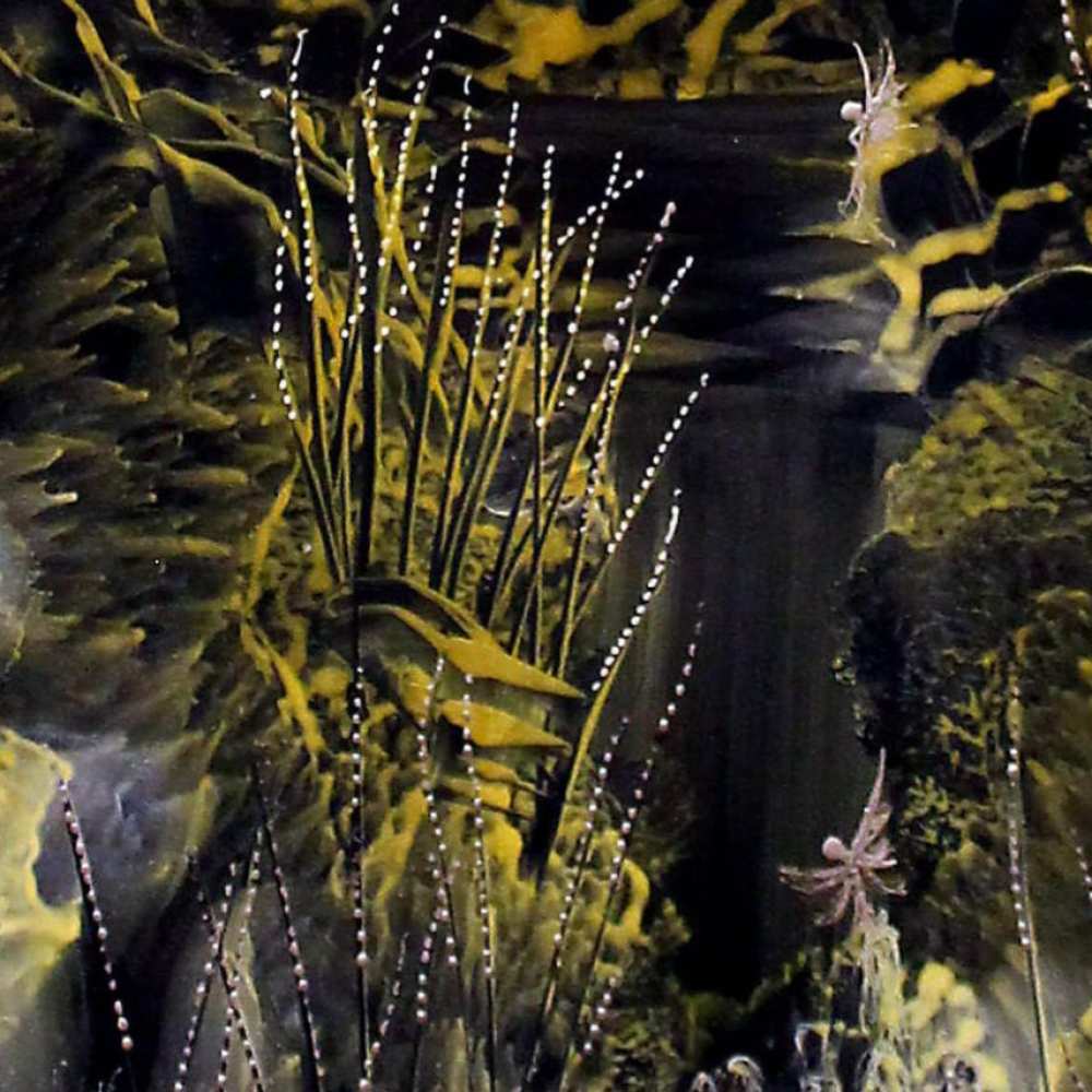 Product WP0006 image