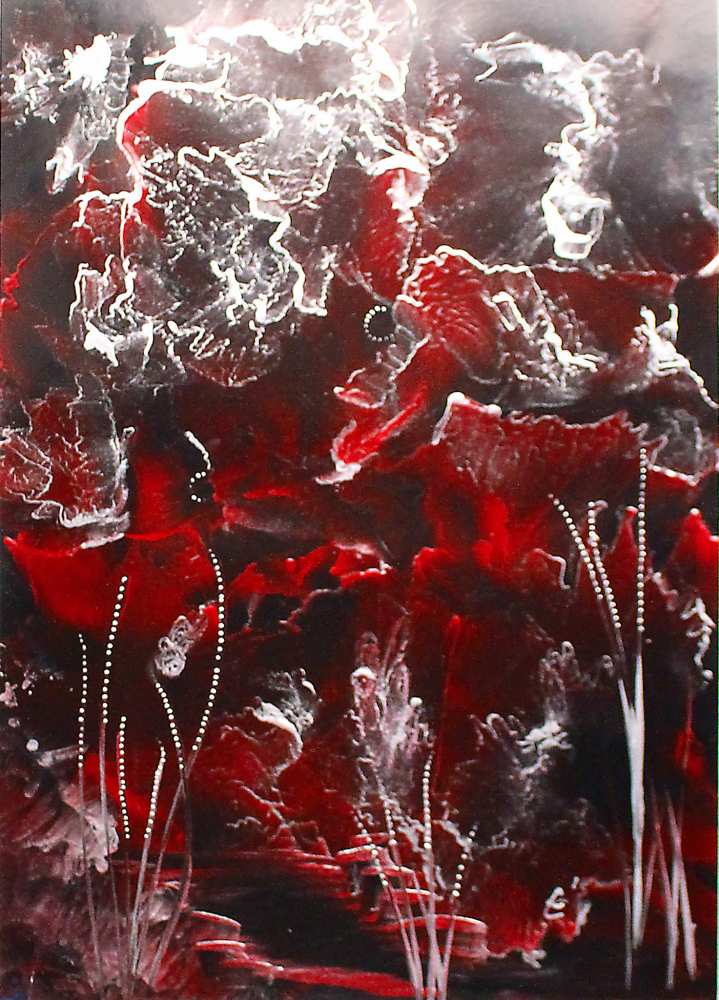 Product WP0020 image