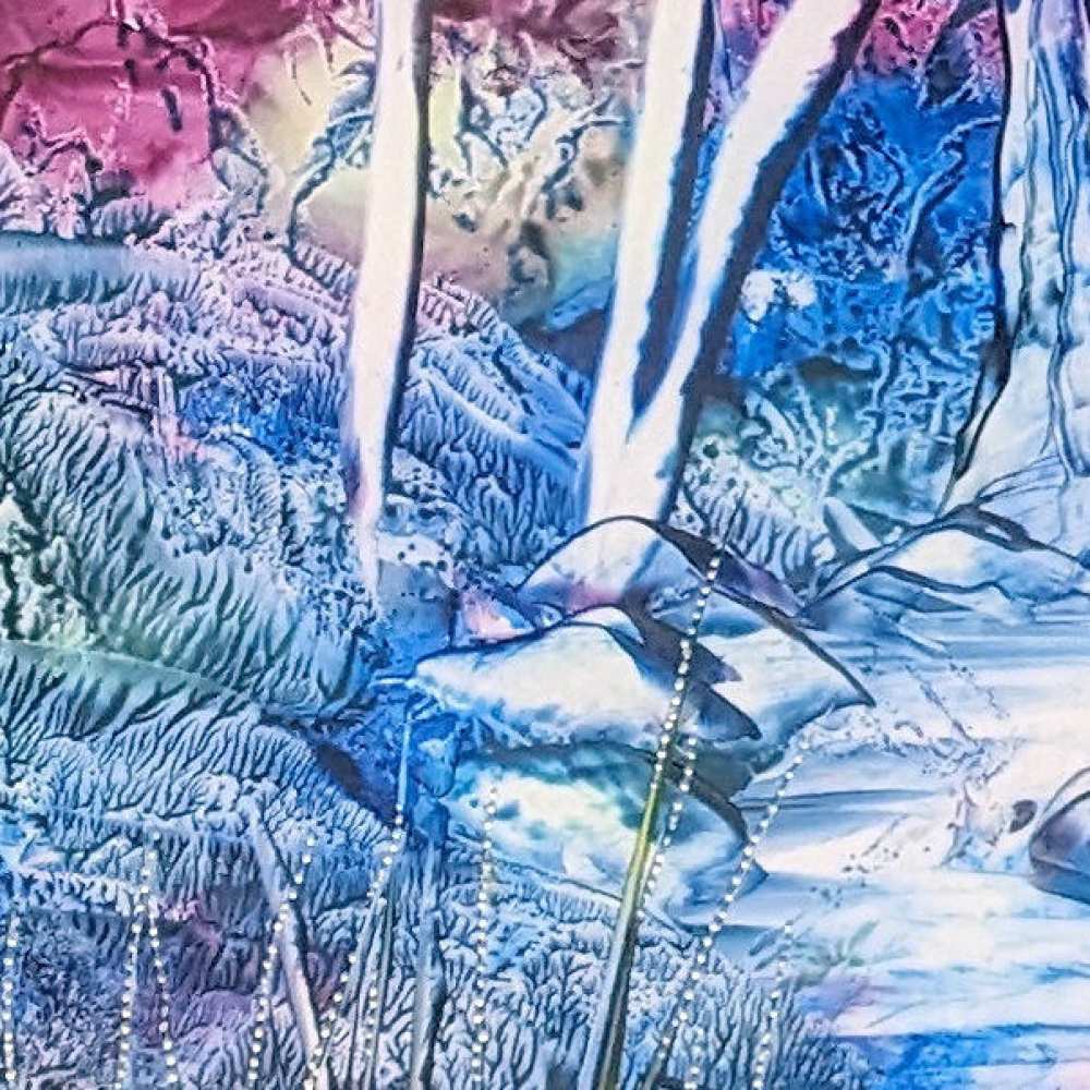 Product WP0024 image