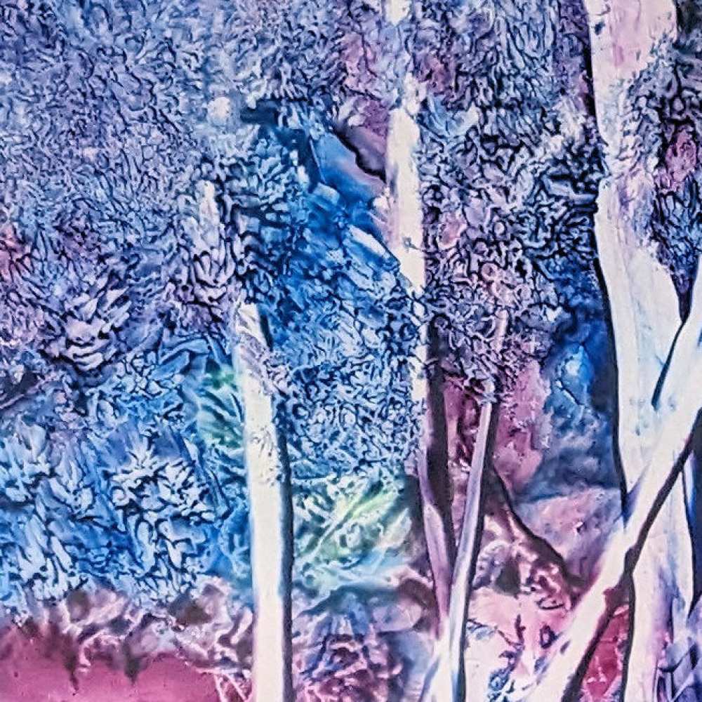 Product WP0024 image