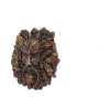 Thumb NM0124a