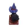 Thumb NM0152b