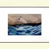 Product WG1021 thumbnail image