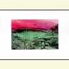 Category image 3 for WG1234