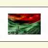 Category image 3 for WG1236